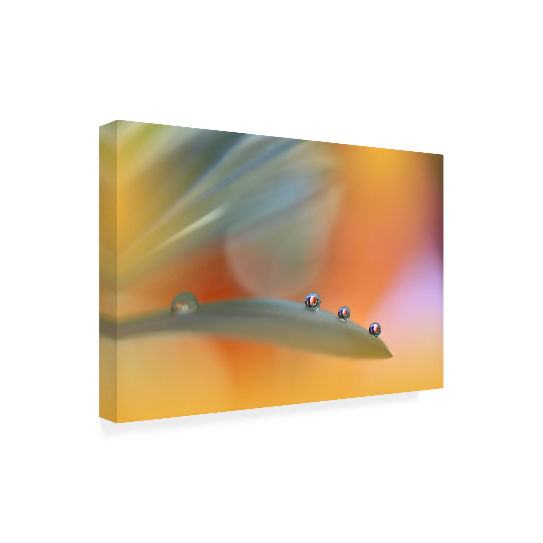 Trademark Fine Art Juliana Nan A Colorful World III Canvas Wall Art
