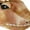 Brown, variant on Childrens / Kids Plush 3D Dinosaur Head Slippers