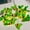 Red Berry Green Leaves, variant on Christmas String Lights, 9.8ft 30 LEDs Red Berry Green Leaves Fairy Copper Lights Battery Operated New Year Garland with Remote for Wall Thanksgiving Christmas Party Decor