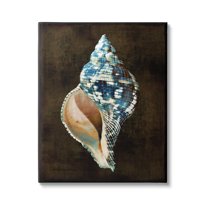 Stupell Industries Modern Conch Shell Nature Painting Gallery Wrapped Canvas Print Wall Art, 16 x 20
