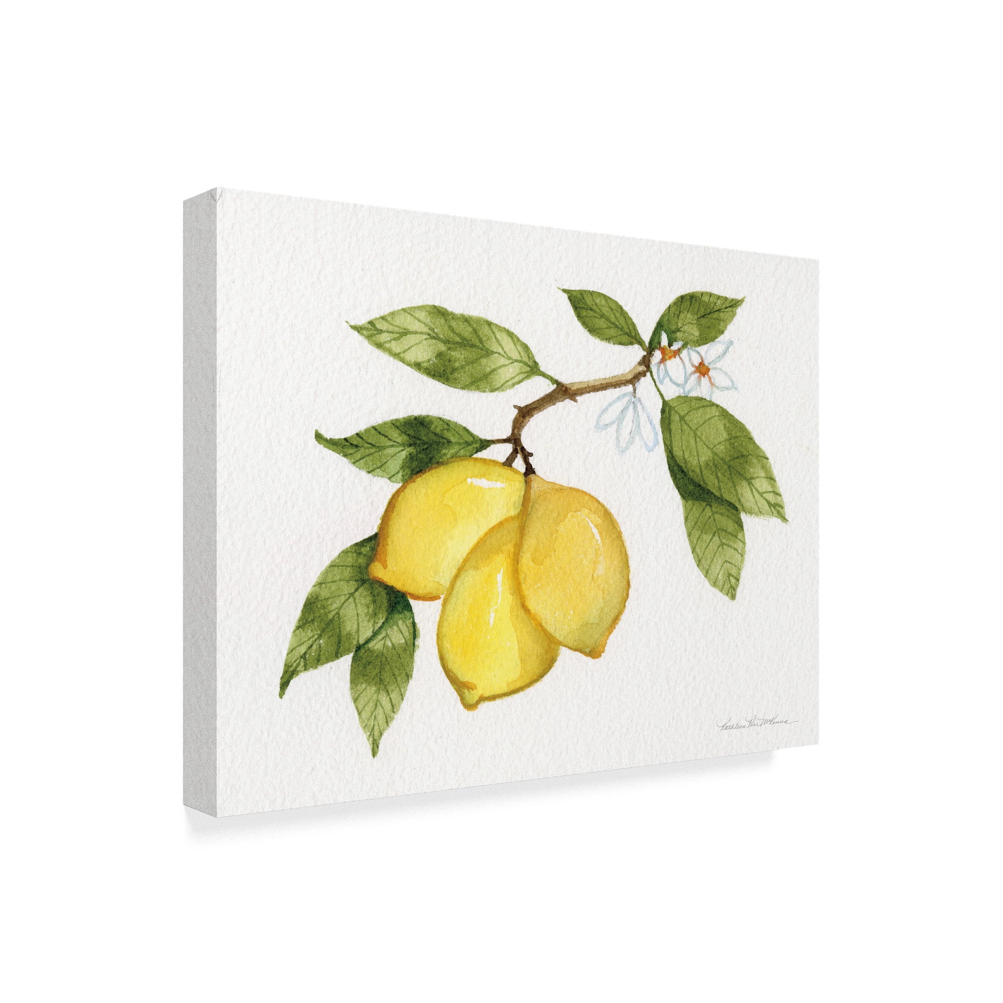 Trademark Fine Art 'Citrus Garden I' Canvas Art by Kathleen Parr McKenna