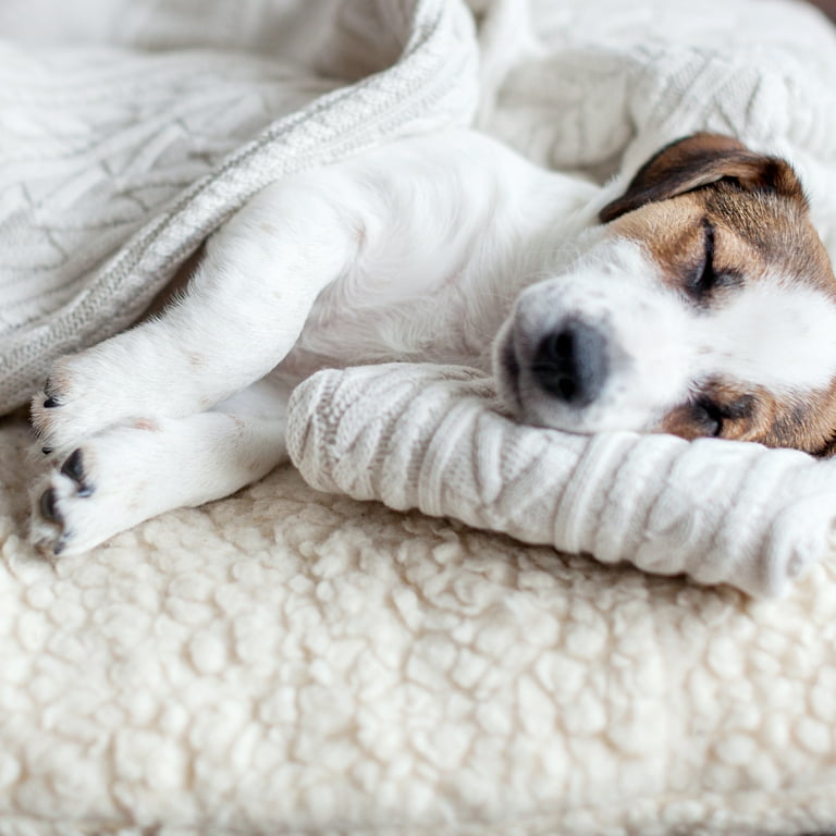 Dog bed best sale duvet cover replacement