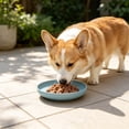 thumbnail image 5 of Round Pet Food Plate Snack Dish for Cats Dogs, Shallow Wide Cat Feeding Bowl, Easy Clean Plastic Pet Dish for Dry Wet Food Treats, Stackable Feeding Bowl for Small Medium Pets Kittens, 5 of 6