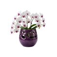 thumbnail image 1 of Maceta Decorativa De Cerámica Esmaltada Para Orquídea Flor De Loto Lavanda, 1 of 4