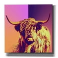 thumbnail image 1 of Epic Graffiti 'Highland Cow Crush,' Canvas Wall Art, 26"x26", 1 of 2
