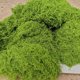 thumbnail image 3 of 50 g de musgo artificial Liuwei plantas verdes decoración para el hogar césped artificial, 3 of 5