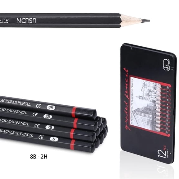 Triani Set of 12 Professional Drawing Sketch Pencils Art Drawing Graphite Pencils(8B - 2H) Medium and Hard Charcoal Pencils for Drawing Sketching Artist Pencils
