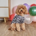 thumbnail image 4 of Leopard Print Dog Blouse All Seasons Design With Warmth Windproof Protection For Small Medium Dogs Breed Recommendation Small Breeds, 4 of 7