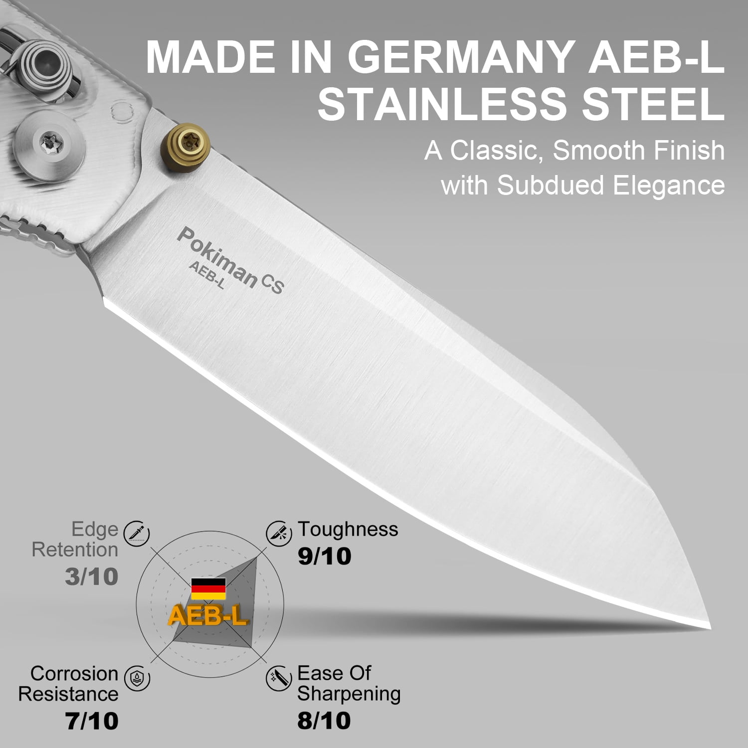 Kizer Pokiman CS EDC Folding Pocket Knife AEB-L Blade Acrylic Handle V3789A5