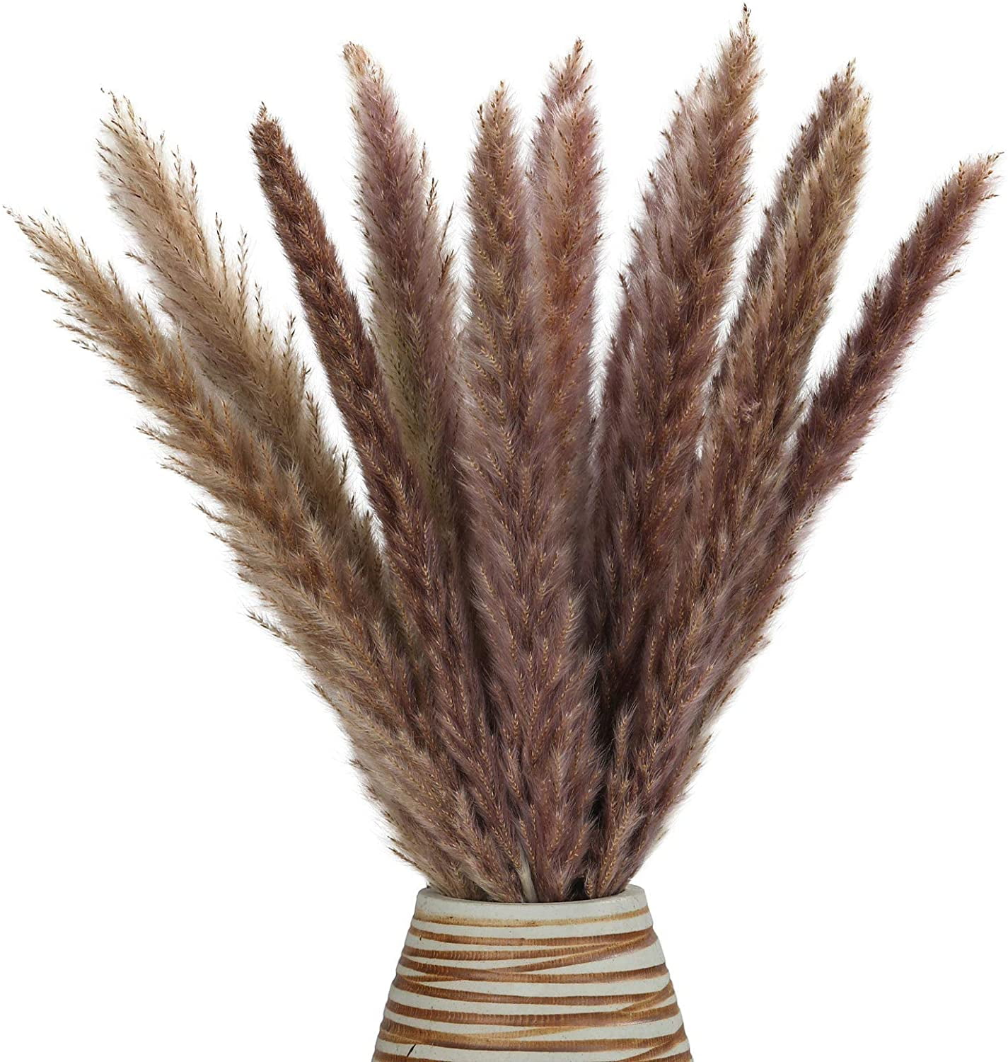 10 Pcs Real Dried Pampas Grass Bouquet Natural Large Fluffy Dry Reed Grass Phragmites Flower Bunch for Wedding Photographing Arrangement Home Room Table Decor 