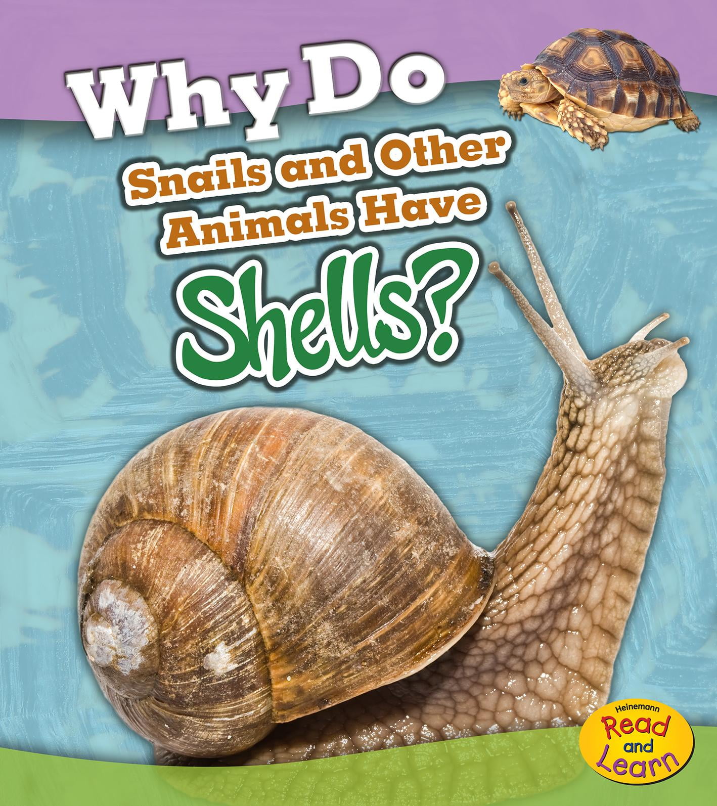 Animal Body Coverings Why Do Snails and Other Animals Have Shells