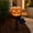 #23yellow, variant on Halloween LED Pumpkin Light, Cat Curled Ornament, Flickering Tabletop Lamp, Realistic Candle Simulation and Safe Battery Operation for Nightstands, Party Tables and Mantel Displays.