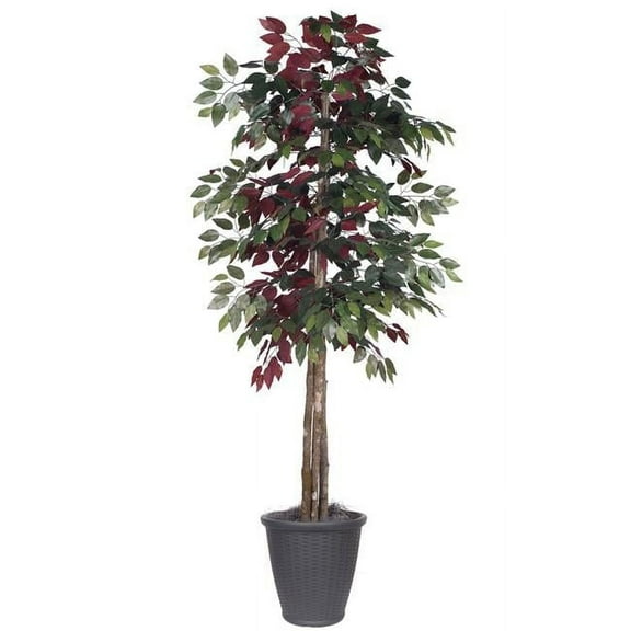Vickerman 6' Artificial Capensia Deluxe Tree, Gray Round Plastic Container, Silk