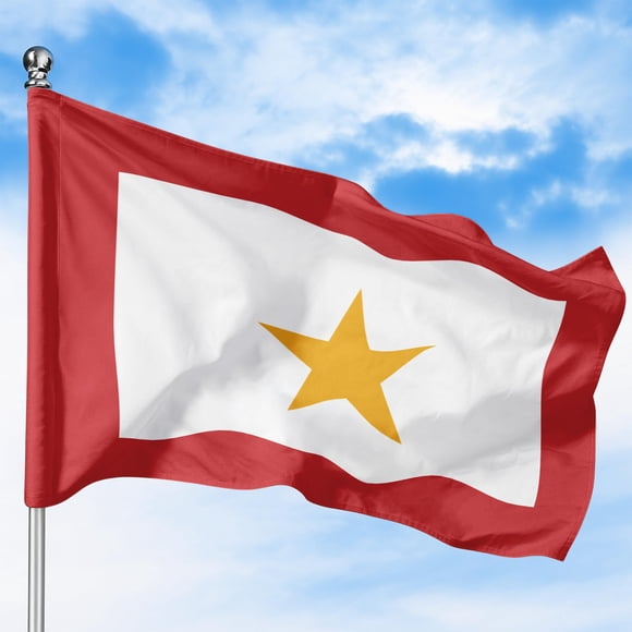 Drapeau de Famille Staar Doré Drapeau d'Extérieur (2x3 Pi) par DreamController - Polyester Durable et Résistant à la Décoloration, Double Piqûre, Oeillets en Laiton - Drapeau de Service Civil Imprimé HD - Fabriqué aux É.-U.