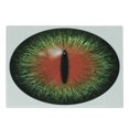 thumbnail image 1 of Reptile Cutting Board, Creepy Exotic Cat Eye Illustration Scary Egyptian Pharaoh Iris Mystic Vision, Decorative Tempered Glass Cutting and Serving Board, Small Size, Black Green Red, by Ambesonne, 1 of 1