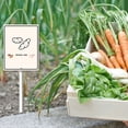 thumbnail image 4 of Eveokoki Garden Signs For Vegetables With Stake Potato Yam Garden Signs For Outside For Vegetables Labels For Garden Signs 4.6x6inch Flowers Funny Garden Stakes Tags Decorations, 4 of 5