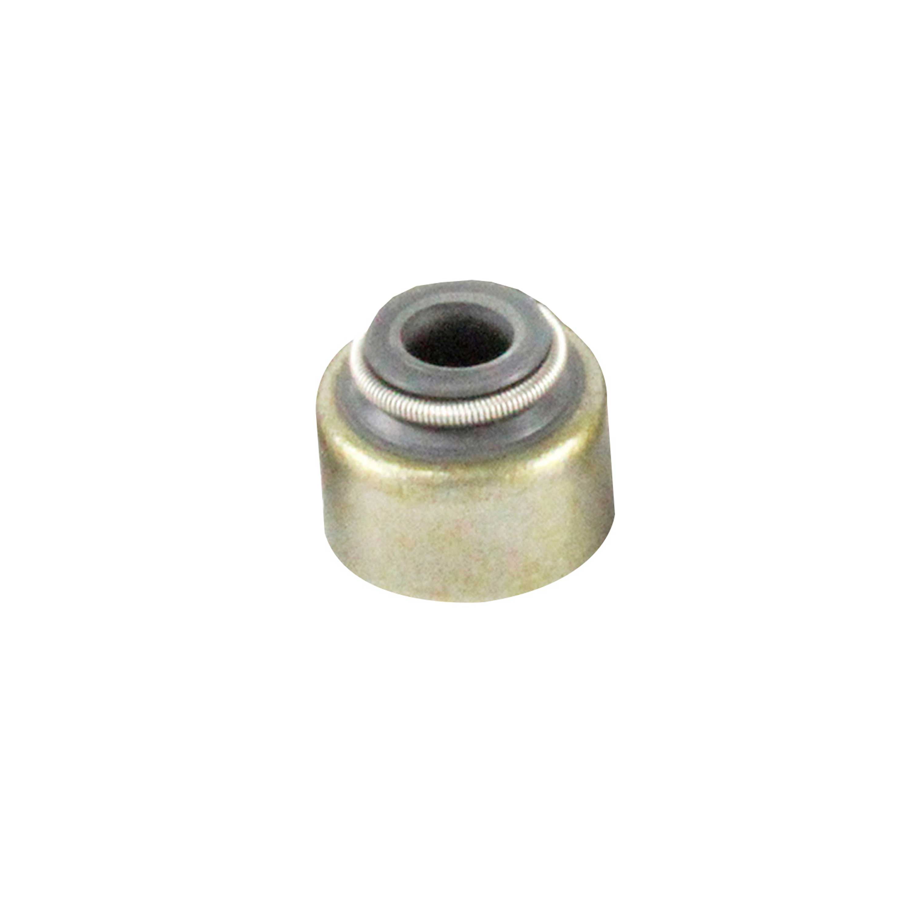 DNJ VSS943 Valve Stem Seals Fits Cars & Trucks 98-17 Toyota Lexus 4Runner 1.3L-2.7L L4 DOHC
