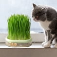 thumbnail image 4 of Cat Grass Planter Wheatgrass Planting Trays Hydroponic Cat Grass Growing Kits for Indoor Cats Soilless Organic Nursery Box Pet Grass Pot, 4 of 6