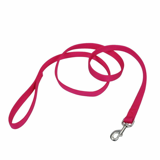 Correa para perros de doble capa de Coastal Pet, cierre a presión a collares y arneses, correa de nailon para pasear perros pequeños, medianos y grandes, flamenco rosa, 1 x 6 pies