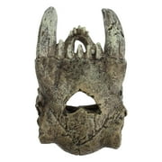 Komodo Saber Tooth Skull Decor for Aquarium or Reptile Tank, Polyresin, Aquarium Decor, Bone Color