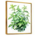 thumbnail image 2 of Designart "Fresh Mint Herbs I" Floral Framed Wall Art - Traditional Green Herbs Entryway Framed Wall Art Print, 2 of 6