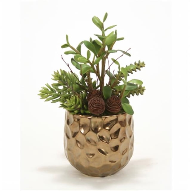Distinctive Designs International 1929 Jade - Succulentes et Cactus dans un Cache-Pot Gabbi Or Brûlé