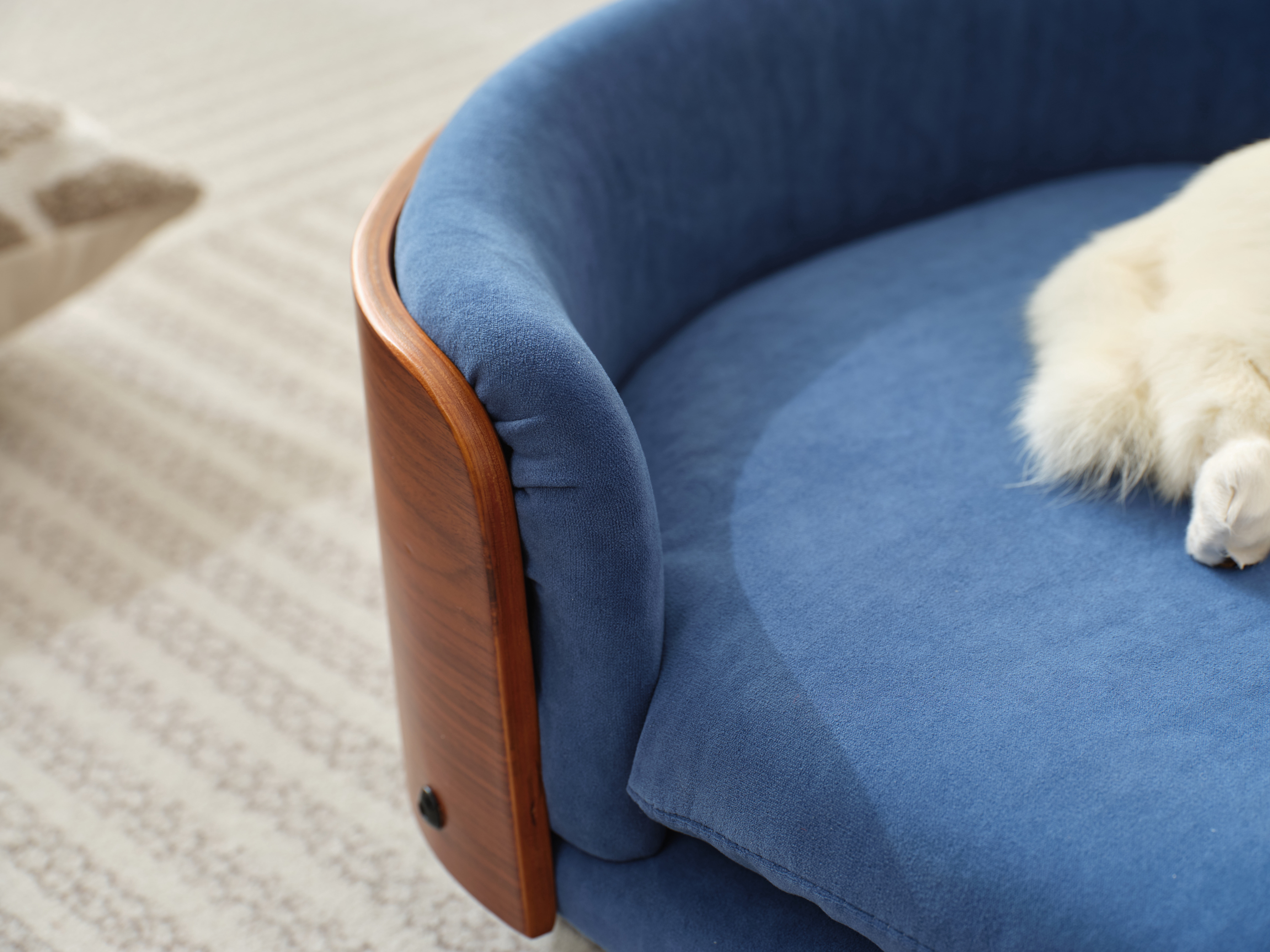 Elevated Dog Bed Pet Sofa, Small Size with Solid Wood Legs & Walnut Bent Wood Back, Velvet Dark Blue Orthopedic Pet Couch