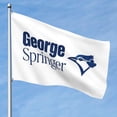 thumbnail image 1 of Toronto Baseball GS 4 Double-Sided 5x8 FT Flag (Pole Not Included), Bluebird Flag Quick-Drying Fade-Resistant with Metal Grommets Ztf3060, 1 of 8