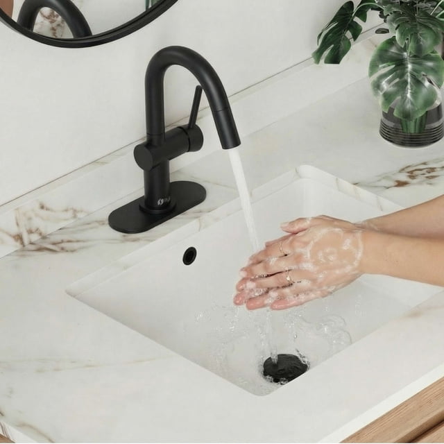 Stylish Single Handle 9-inch Matte Black Pull Down Dual Function Bathroom Faucet B-114N