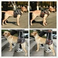 thumbnail image 6 of Adjustable Dog Support Harness for Front and Rear Legs Lifting Rehabilitation Vest for Old Dogs with Disabilities Pet Supplies (S4,XL for 30-40kg), 6 of 7