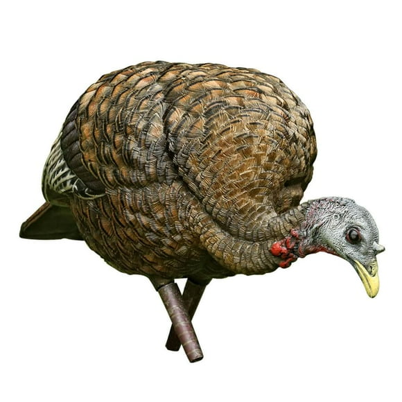 Avian X Mangeoire Réaliste Pliable LCD Pliable Poule Dinde Chasse Leurre