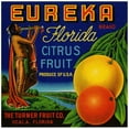 thumbnail image 3 of Anonymous 20x20 Black Modern Framed Museum Art Print Titled - Eureka Brand Florida Citrus Fruit Label (1930-1950), 3 of 5