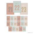 thumbnail image 1 of Signature Rustic Pastels Party, Table Numbers 21-40, 4x6-inch, 1-Set, 1 of 2