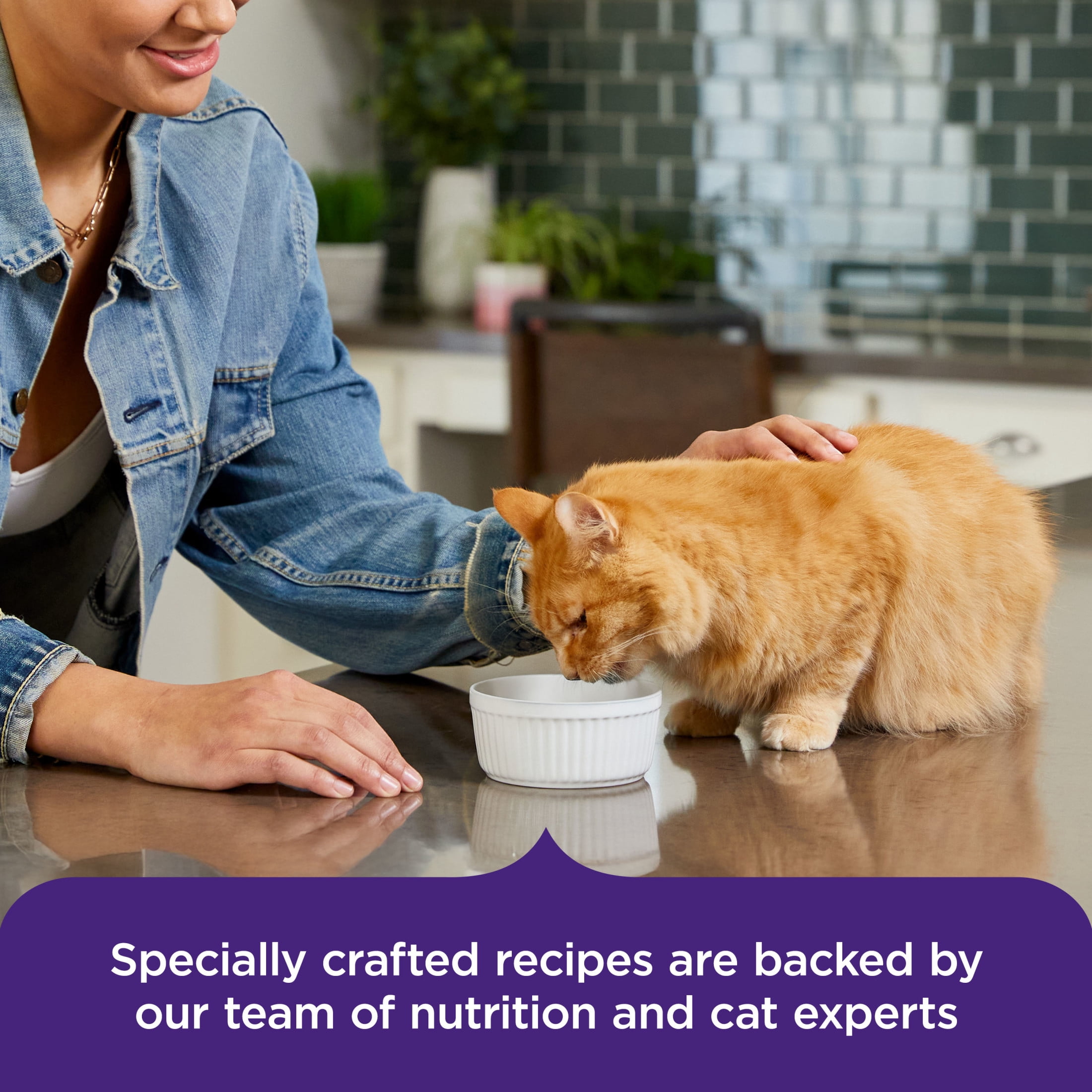 (4 pack) Rachael Ray Nutrish Purrfect Broths Classic Chicken Cat Complements, 1.4 oz. Pouch