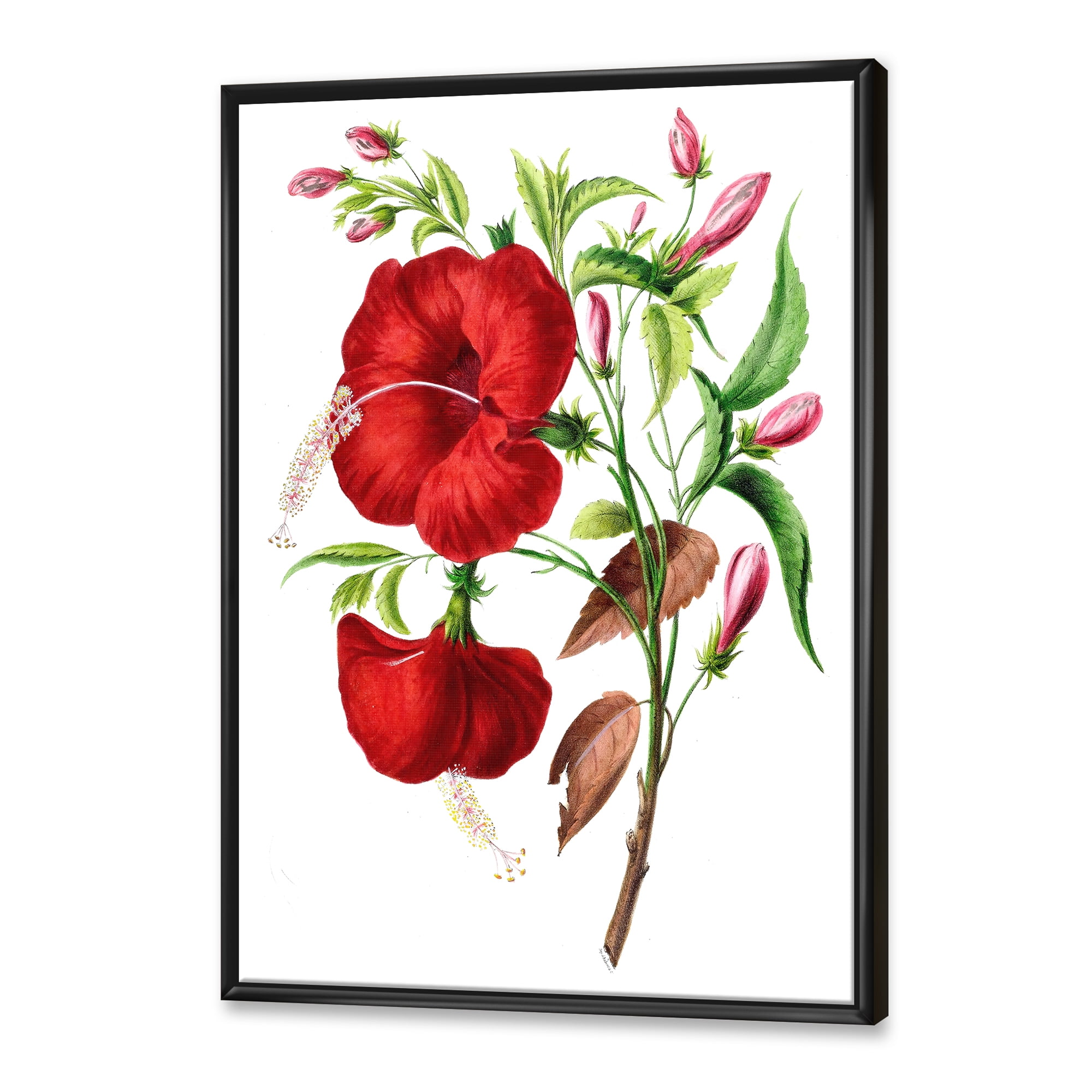 Designart 'Ancient American Flora I' Traditional Framed Canvas Wall Art Print