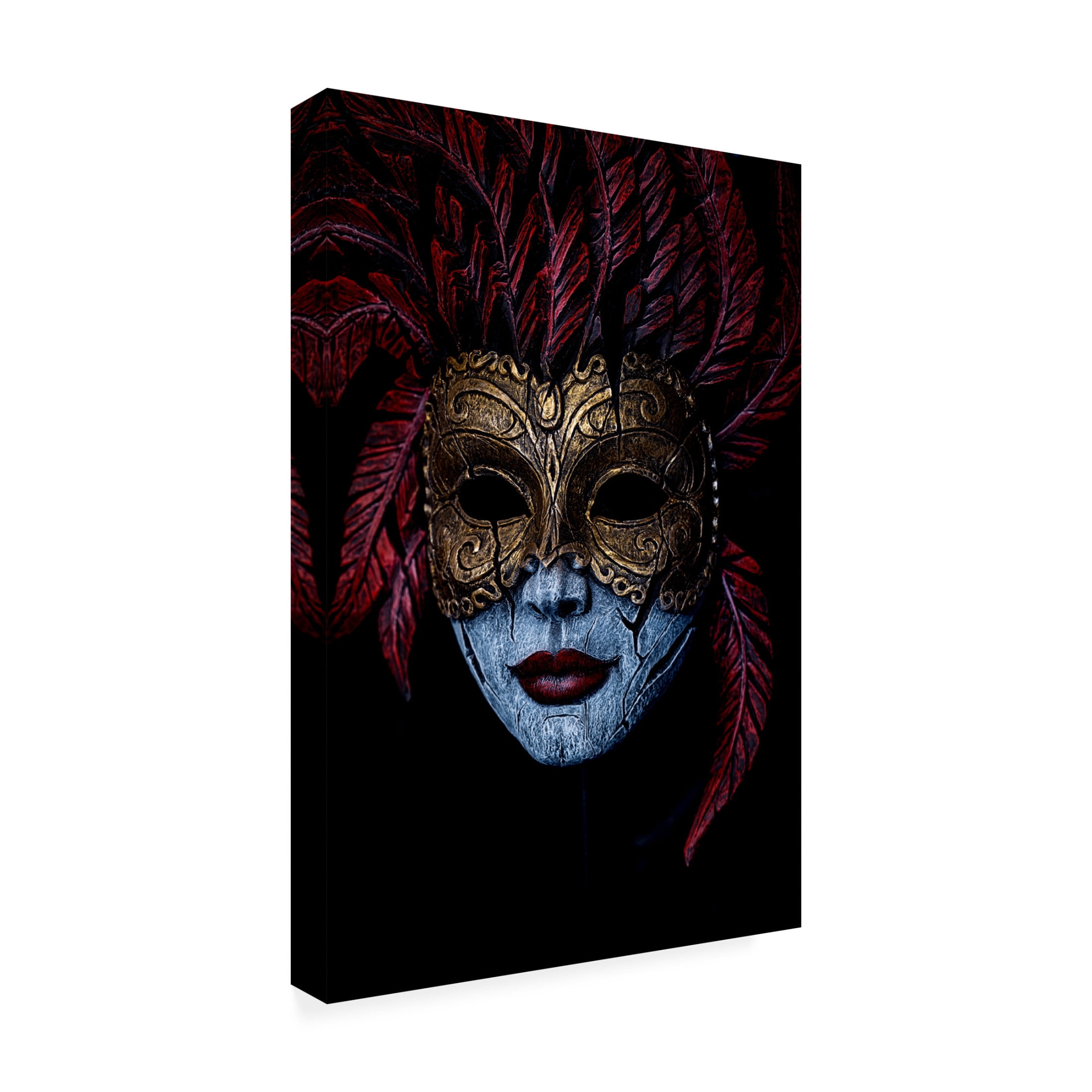 Trademark Fine Art Simon JG Ciappara Where Does The Mask Begin And End Canvas Wall Art