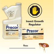 Precor IGR Concentrate - Prevents Immature Fleas From Maturing - 16 fl oz Bottle by Zoecon