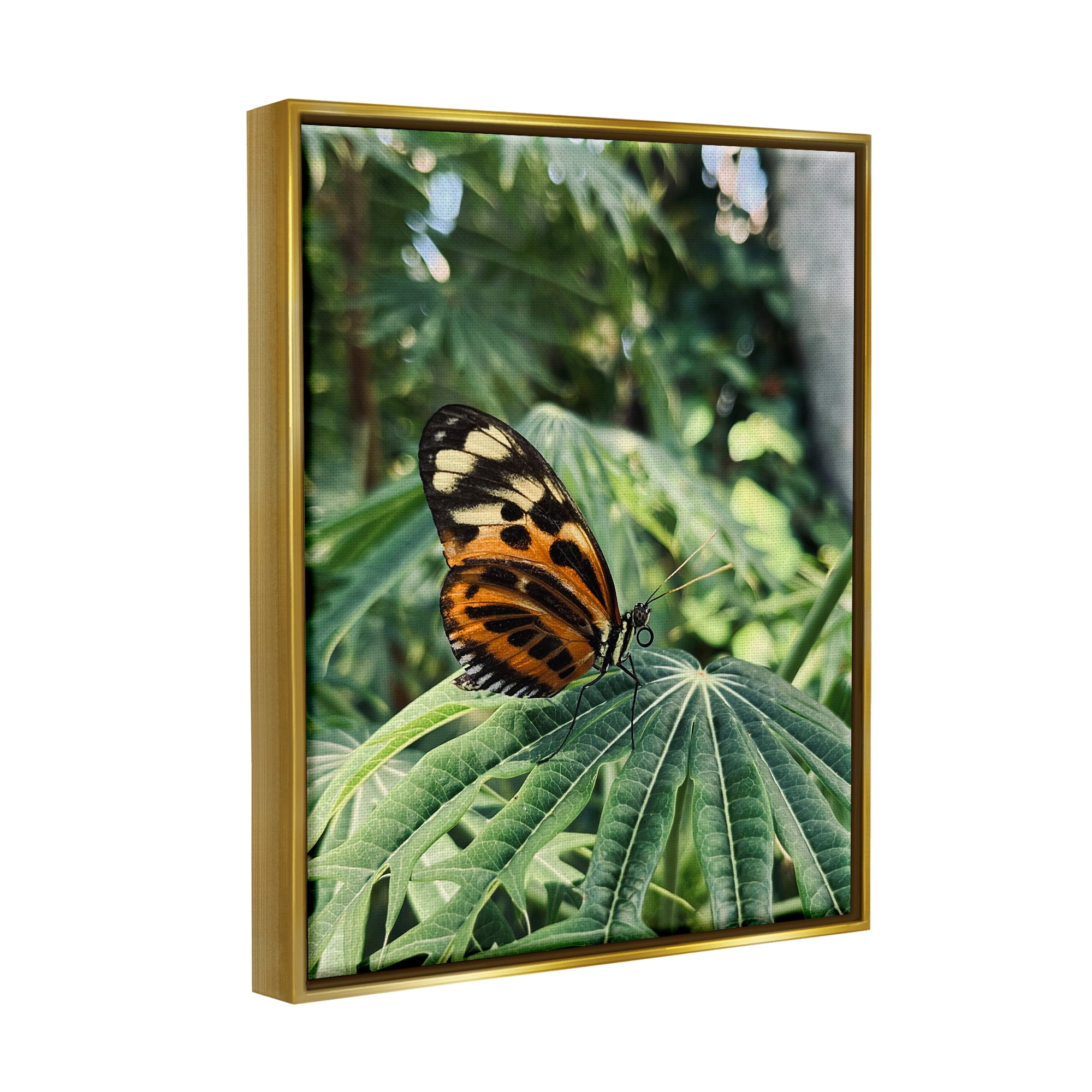 Stupell Industries Monarch Butterfly on Leaf Animals & Insects Photography Gold Floater Framed Art Print Wall Art, 25 x 31