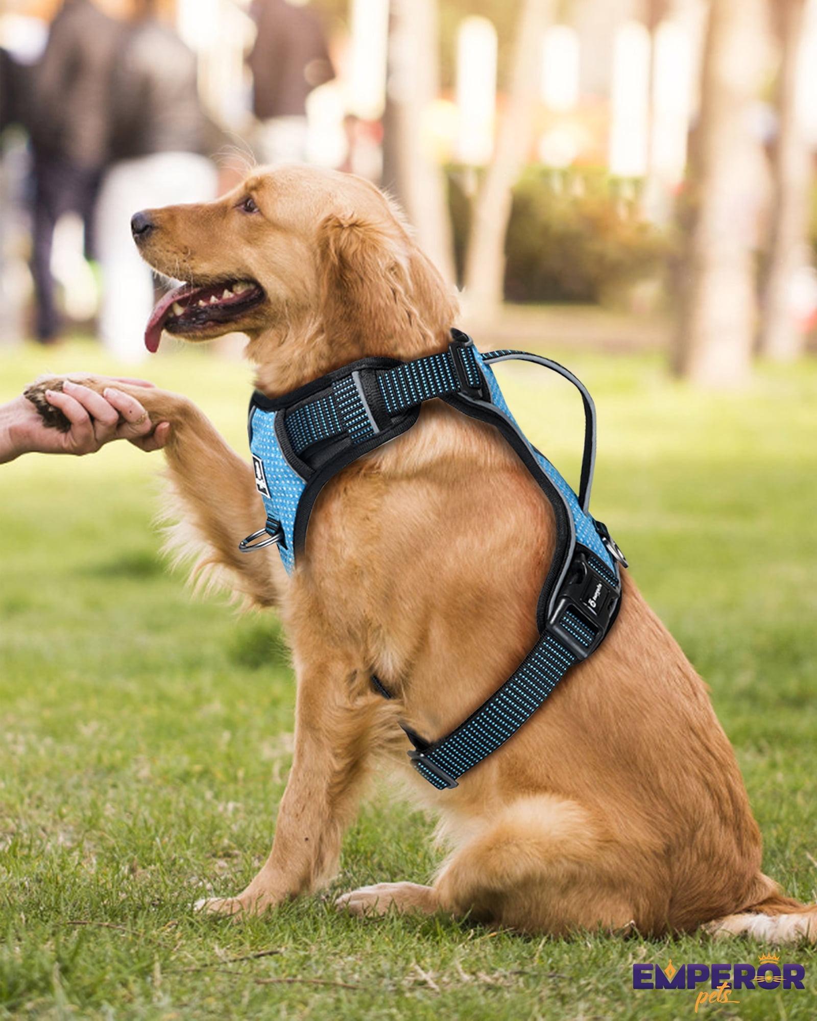 Emperor Pets Blue Reflective Dog Harness for Large Dogs - No Pull Dog Harness with 2 Leash Clips, Premium Oxford Soft Padded large dog harness, Dog Harness for Large Dogs (L, Blue)