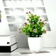 thumbnail image 5 of Plantas Artificiales En Maceta con Flores, Pequeñas Plantas Artificiales para Decoración de Interiores (Hogar, Baño, Cocina, Oficina, Escritorio), Planta de Plástico Verde de 18 Cm de Altura, 5 of 6