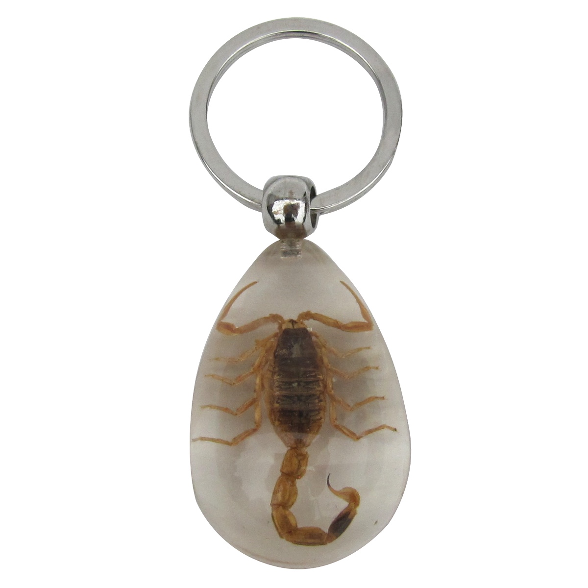 Real Scorpion Clear Resin Keyring Insect Keychain Taxidermy Car Key