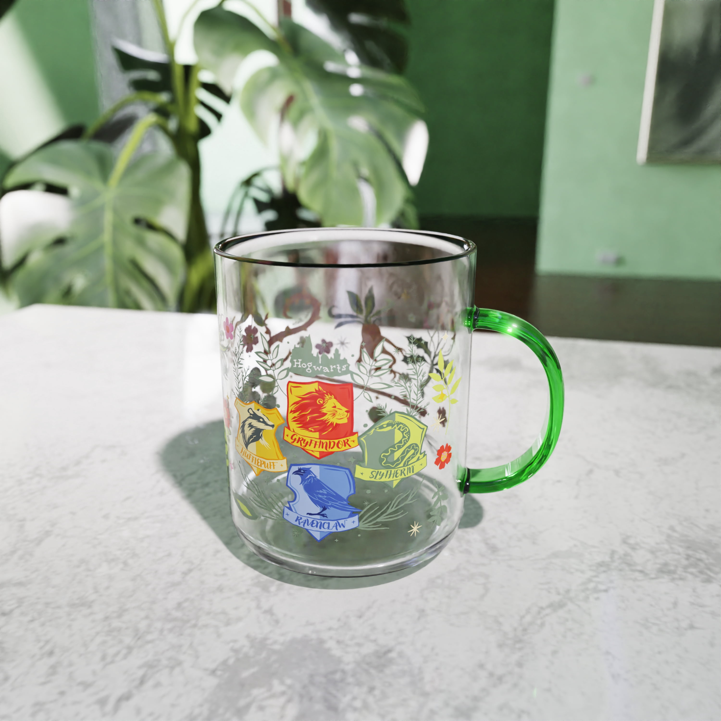 Zak Designs 14.5 oz Kaya Glass Mug with Colored Handle - Harry Potter