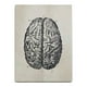 thumbnail image 1 of Bewildely Cartel de la imagen del aula del pasillo de la pintura de la estructura del cerebro con el marco Decoración del hogar, 1 of 6