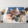 thumbnail image 3 of Throw Blanket for Couch, Playful Cat Super Soft Fuzzy Comfy Warm Throw Blanket, Cuteness Lightweight Cozy Plush Flannel Blanket & Throws for Sofa and Bed All Season, 3 of 5