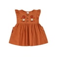 thumbnail image 1 of Qmyliery Toddler Girls Summer A-Line Dress Brown Flying Sleeve Floral Embroidery Pleated Dress, 1 of 8