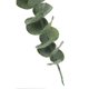 thumbnail image 5 of 36pcs Eucalyptus Stems Lifelike Artificial Green Eucalyptus Leaves Stems 14.1in Fake Eucalyptus for Wedding Bouquet Home Decor, 5 of 5