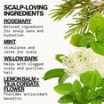 thumbnail image 5 of Pacifica Rosemary Mint Scalp Love Conditioner, 5 of 14