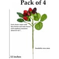 thumbnail image 3 of Tundralight 4 Pcs Framboise Artificielle, Fraise Rouge, Faux Fruit, Accessoires de Décoration de Table (Rouge avec Noir), 3 of 5