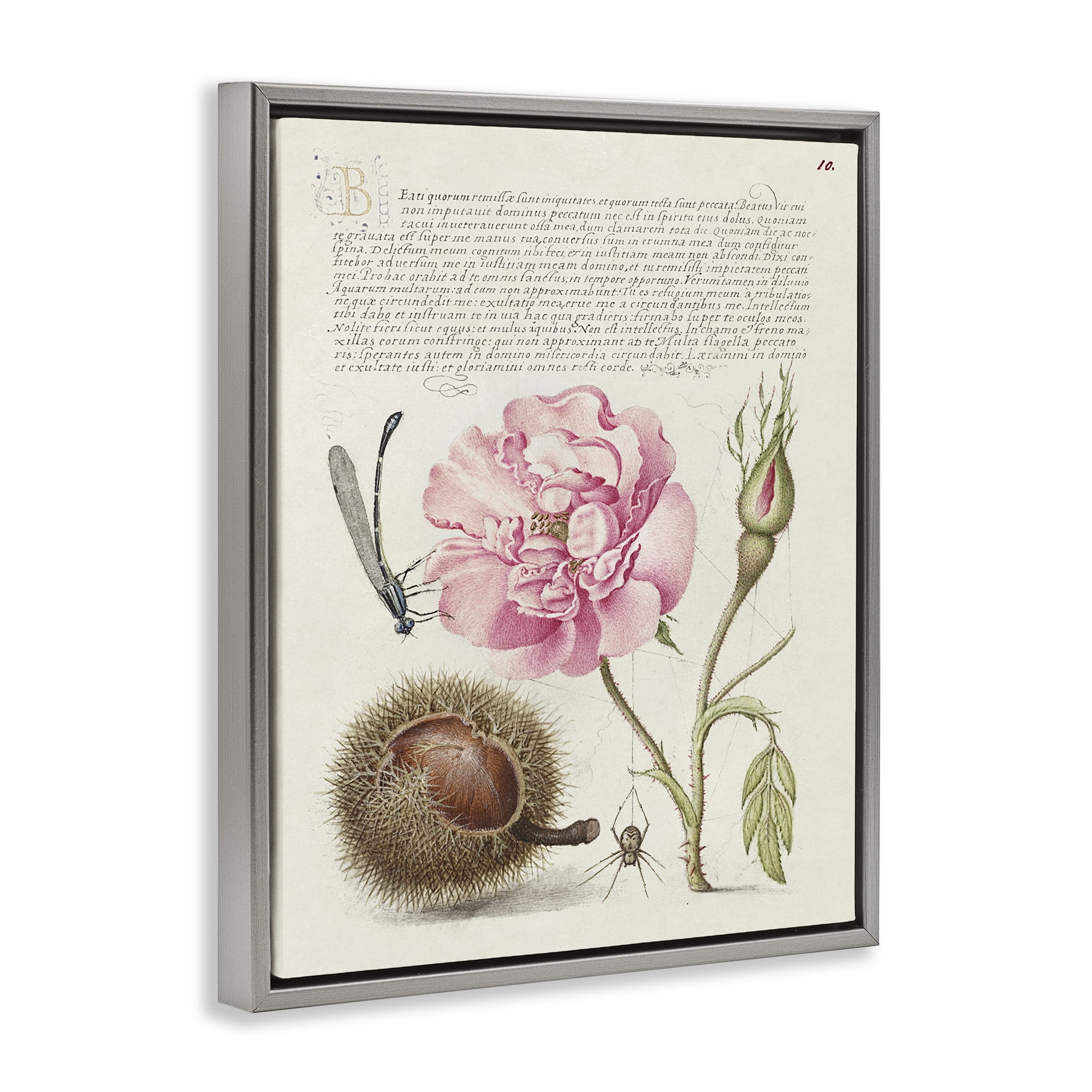 Stupell Industries Antique Study Page Text & Numbers Painting Gray Floater Framed Canvas Art Print Wall Art, 17 x 21