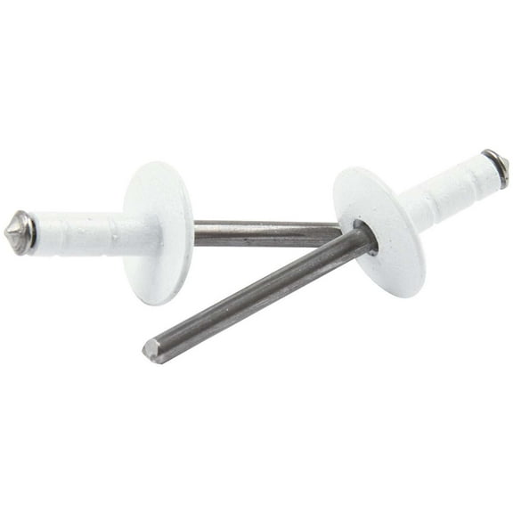 Allstar Performance Lg Hd Rivet White 250pk Multi Grip ALL18096
